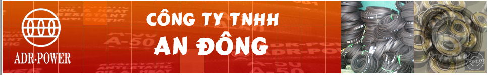 An Dong Co., Ltd | Fact-Link Viet Nam