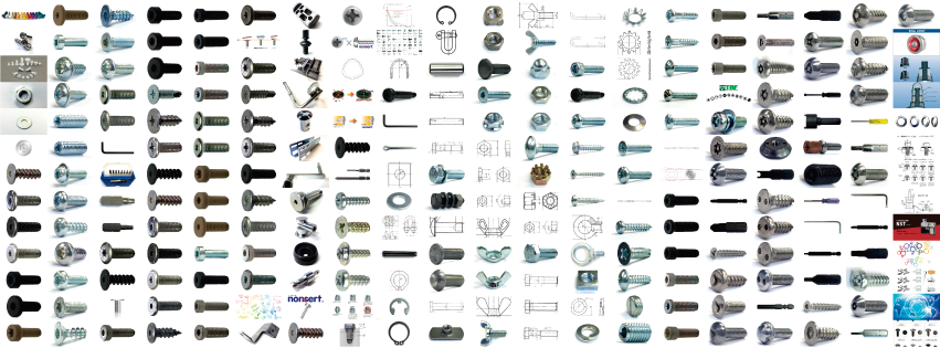 AZUMA VIETNAM AZUMA VIETNAM | Fact-Link Viet Nam