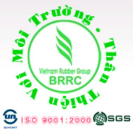 BA RIA RUBBER JSC. | Fact-Link Viet Nam
