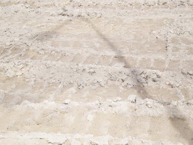 BINH LONG RUBBER INDUSTRY JOINT-STOCK COMPANY | Fact-Link Viet Nam