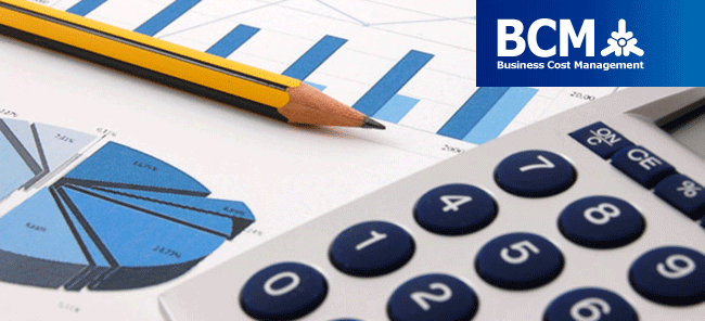 Công ty TNHH quản trị doanh nghiệp BCM Việt Nam BMC Vietnam Business Management Co., Ltd | Fact-Link Viet Nam
