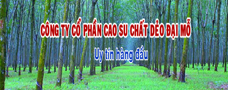 Công Ty CP Cao Su Chất Dẻo Đại Mỗ Dai Mo Rubber Plastics Co.,Jsc | Fact-Link Viet Nam