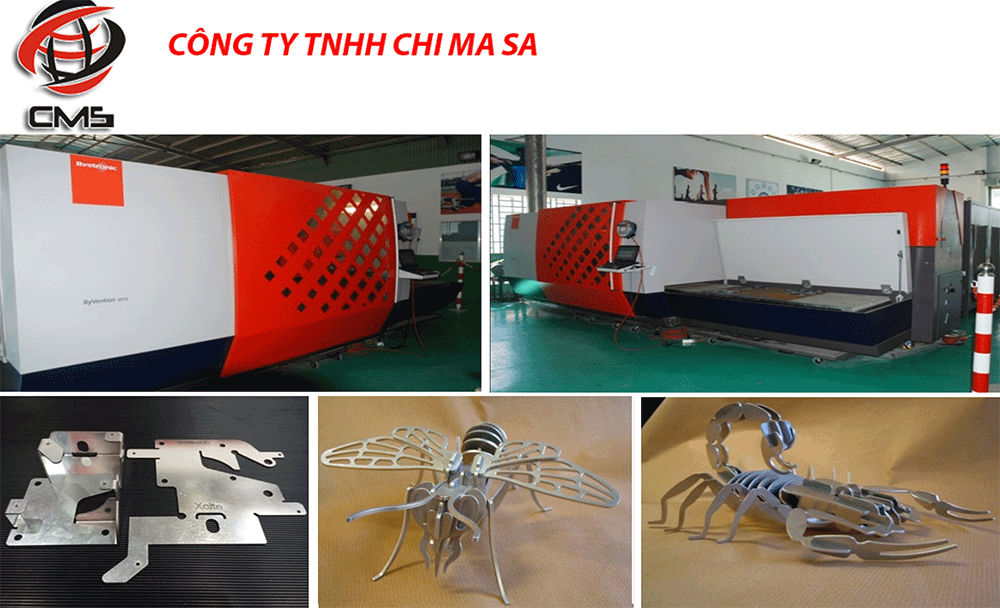 CÔNG TY TNHH CHI MA SA CHI MA SA CO., LTD | Fact-Link Viet Nam