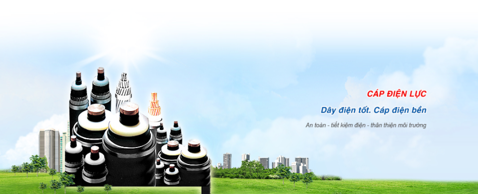 Công Ty TNHH Vật Liệu Điện Duy Tân Duy Tan Co.,Ltd | Fact-Link Viet Nam