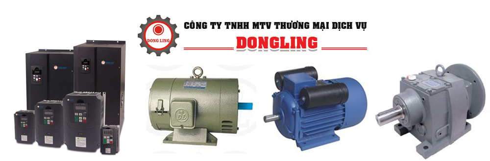Dong Ling Trading Service Co.,Ltd. | Fact-Link Viet Nam