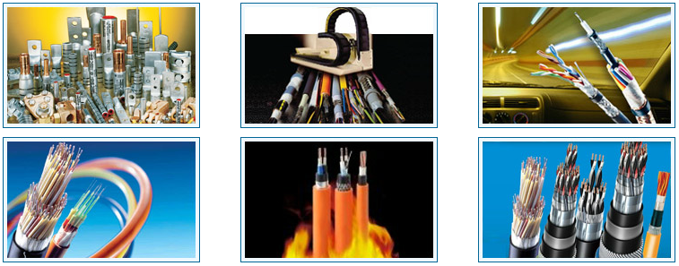 Dong Nguyen Gia Trading, Import & Export Co.,Ltd. | Fact-Link Viet Nam