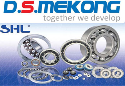 D.S Mekong Ltd. | Fact-Link Viet Nam