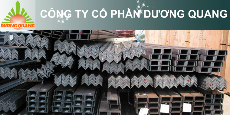 Công Ty Cổ Phần Dương Quang DUONG QUANG CO.,JSC | Fact-Link Viet Nam