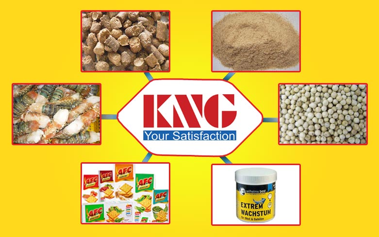 KIM NGHIA CO.,LTD.-KNG  KIM NGHIA CO.,LTD.-KNG | Fact-Link Viet Nam