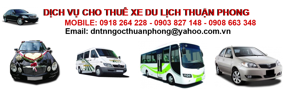 Công Ty TNHH Ngọc Thuận Phong Ngoc Thuan Phong Co,.Ltd | Fact-Link Viet Nam
