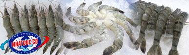 NHAT DUC CO., LTD. | Fact-Link Viet Nam