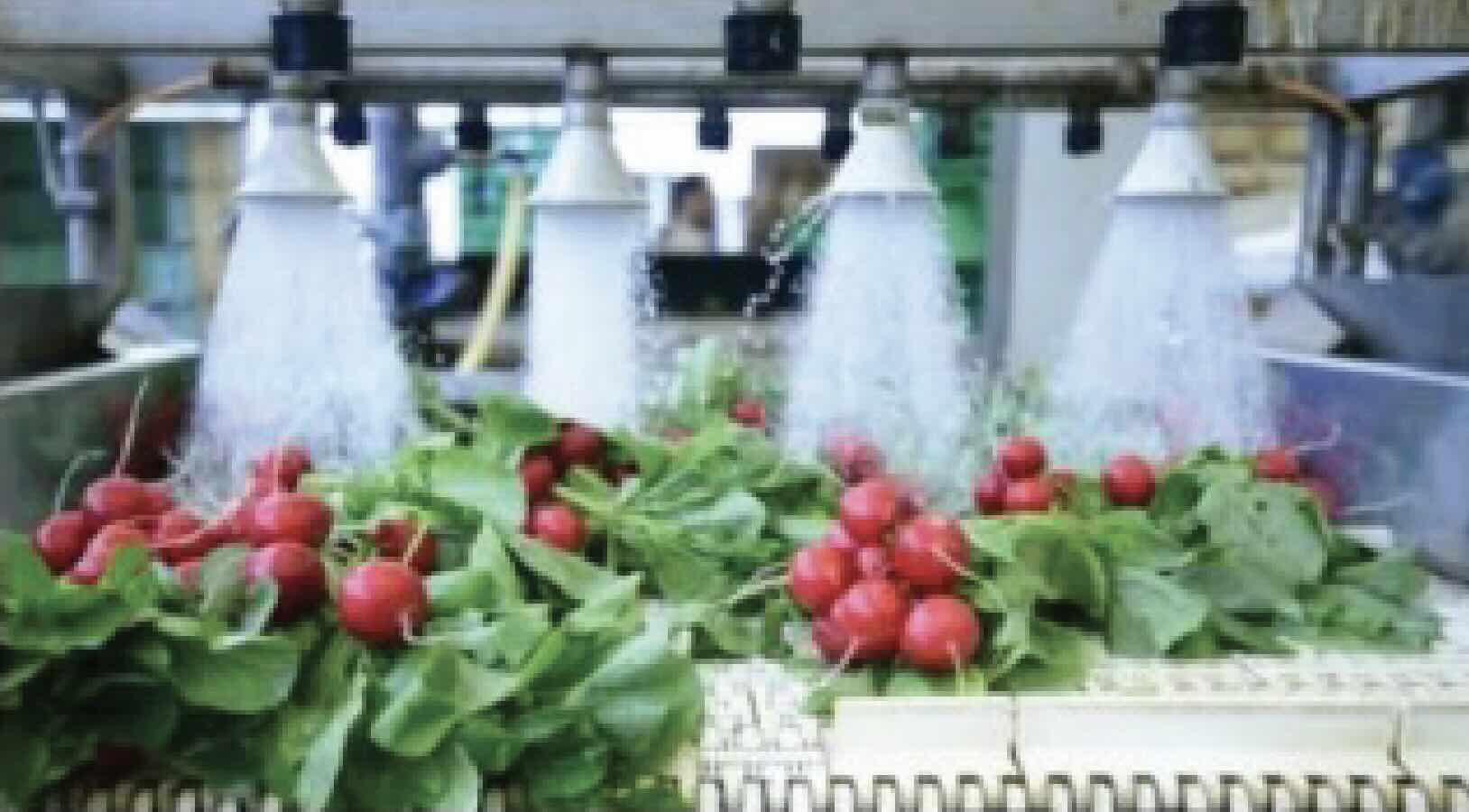 NKE Corporation （Vietnam Office） | Fact-Link Viet Nam