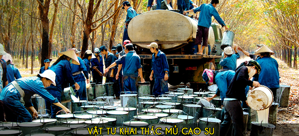 Doanh Nghiệp Tư Nhân Phương Minh Trang Phuong Minh Trang Co.,Ltd | Fact-Link Viet Nam