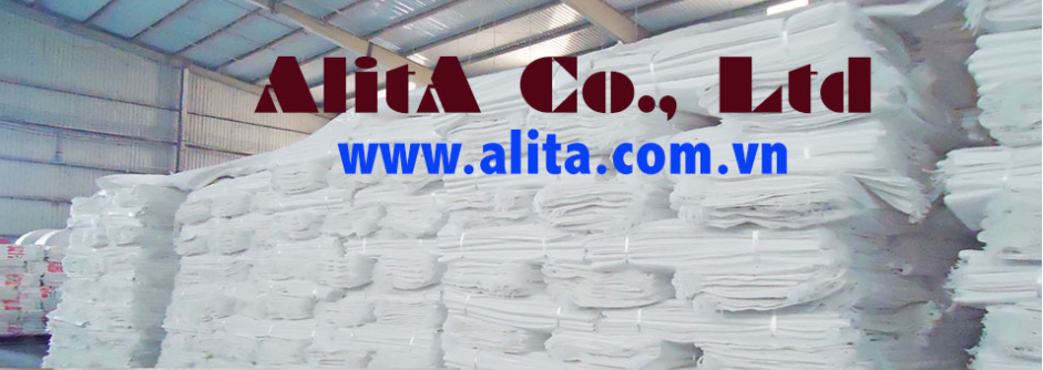 CÔNG TY TNHH ALITA ALITA CO., LTD | Fact-Link Viet Nam