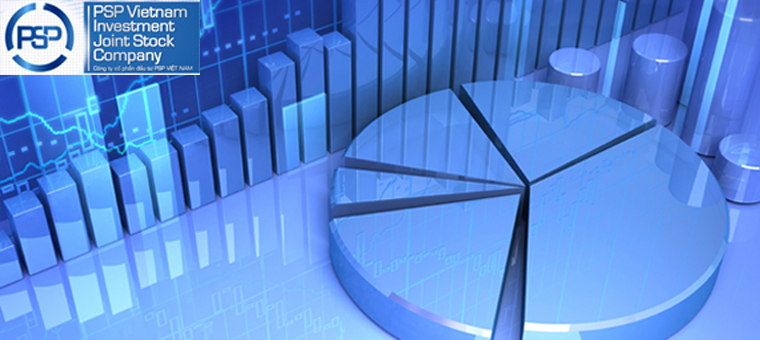 PSP Viet Nam Investment Co.,Jsc | Fact-Link Viet Nam