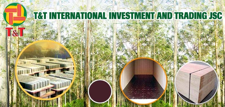 Công Ty Cổ phần Đầu Tư Thương Mại Và Quốc Tế T & T T&T International Investment and Trading JSC | Fact-Link Viet Nam
