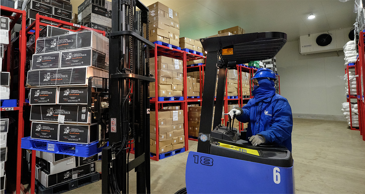 SG 佐川ベトナム有限会社 SG SAGAWA VIETNAM CO., LTD | Fact-Link Viet Nam