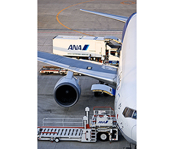 シオガイ精機ベトナム有限公司 (Shiogaiseiki Vietnam Co.,Ltd.) SHIOGAISEIKI VIETNAM CO., LTD. | Fact-Link Viet Nam