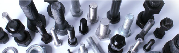 Tan Co Consulting & Trading Co.,Jsc | Fact-Link Viet Nam