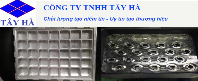 Công Ty TNHH Tây Hà TAY HA CO.,LTD | Fact-Link Viet Nam