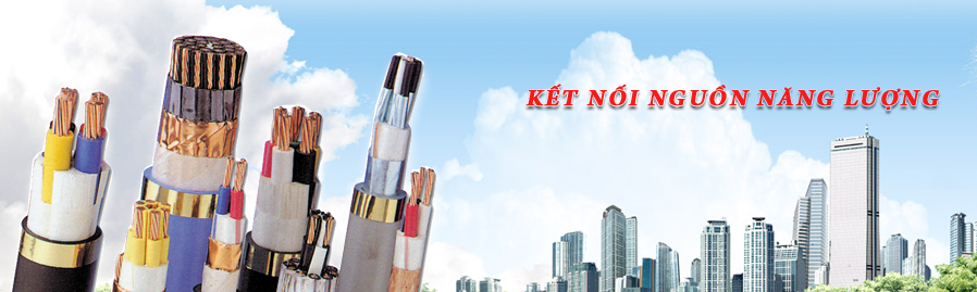 Công Ty TNHH Thương Mại & Dịch Vụ TCT TCT Co.,Ltd | Fact-Link Viet Nam