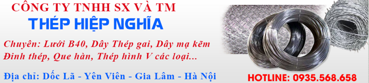 Công Ty TNHH SX & TM Thép Hiệp Nghĩa Hiep Nghia Steel Producing & Trading Co.,Ltd | Fact-Link Viet Nam