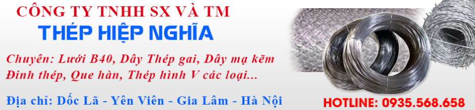 Công Ty TNHH SX Và TM Thép Hiệp Nghĩa Hiep Nghia Co.,Ltd | Fact-Link Viet Nam
