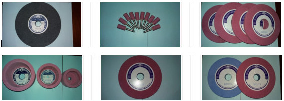 Công Ty TNHH TM XNK Thiên Hùng Thien Hung Trading & Export-Import Co.,Ltd | Fact-Link Viet Nam