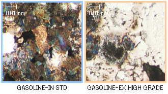 TPR ベトナム TPR Vietnam Co.,Ltd. | Fact-Link Viet Nam