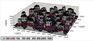 TPR Vietnam Co.,Ltd. | Fact-Link Viet Nam