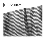 CÔNG TY TNHH TPR VIỆT NAM TPR Vietnam Co.,Ltd. | Fact-Link Viet Nam