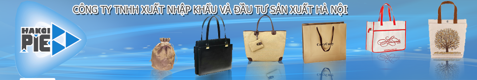 Công Ty TNHH Xuất Nhập Khẩu & Đầu Tư Sản Xuất Hà Nội Ha Noi Co.,Ltd | Fact-Link Viet Nam