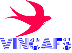 VINCAES | Fact-Link Viet Nam