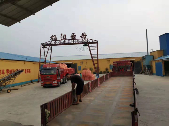Lingshou County Xuyang Mining Co., Ltd | Fact-Link Viet Nam